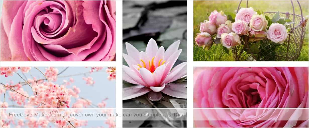 Facebook Cover Photo Collage — Free Cover Maker